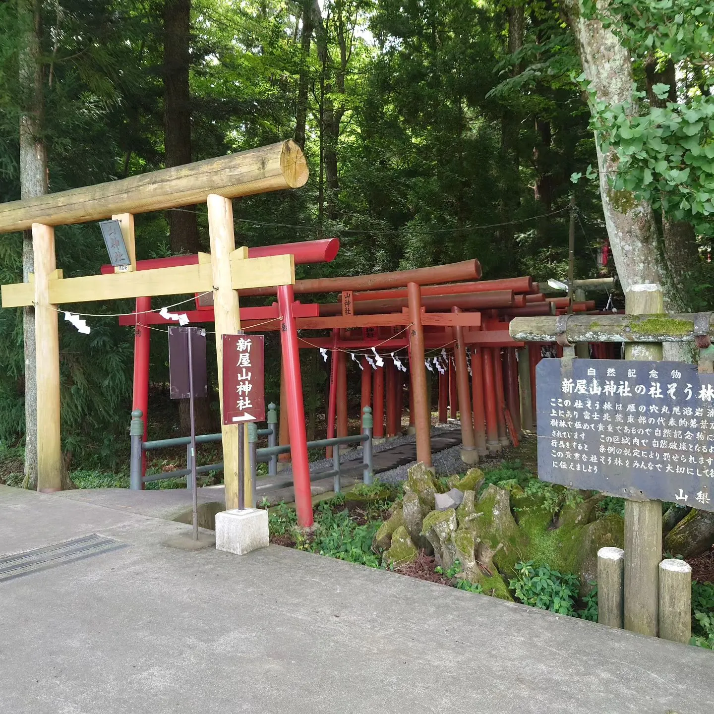 日本3大金運神社