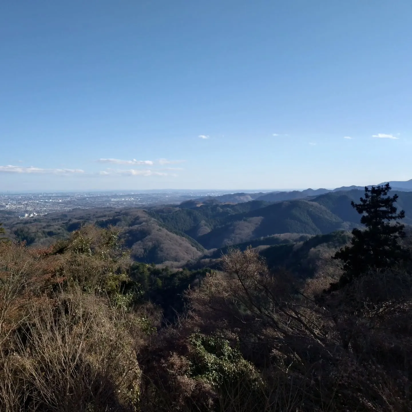 🎍明けましておめでとうございます🎍